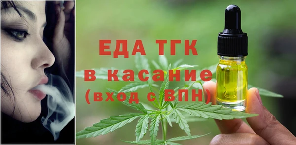 ECSTASY Горняк