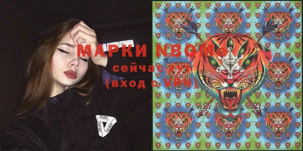 ECSTASY Горняк