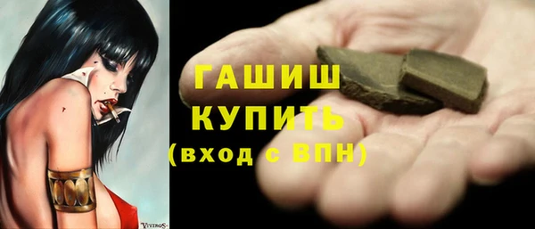 ECSTASY Горняк