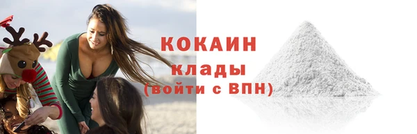 ECSTASY Горняк