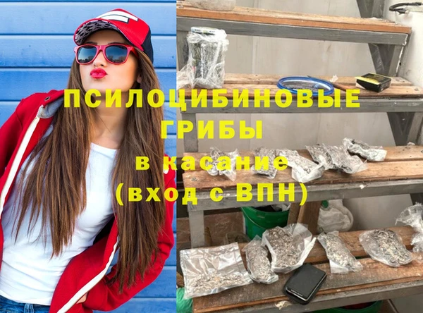 ECSTASY Горняк