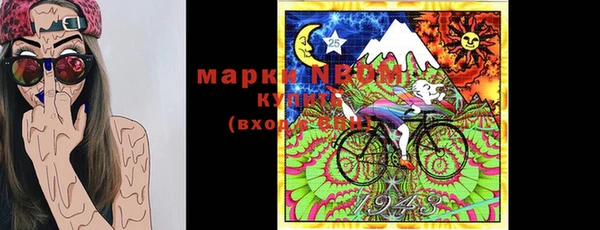 ECSTASY Горняк