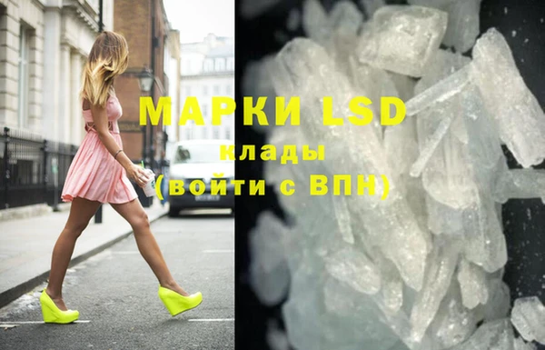 ECSTASY Горняк