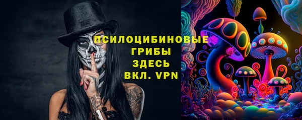 стафф Горнозаводск