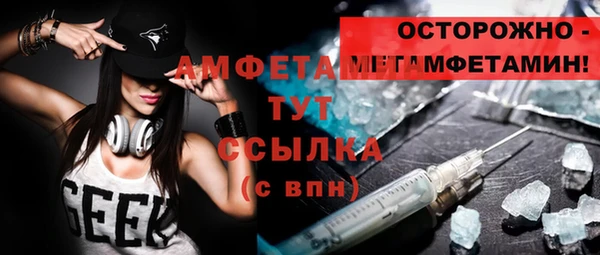 ECSTASY Горняк