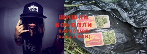 ECSTASY Горняк