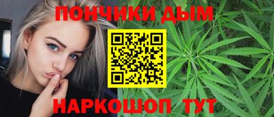 индика Дубна