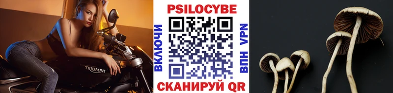 маркетплейс как зайти  Москва  Галлюциногенные грибы мицелий 