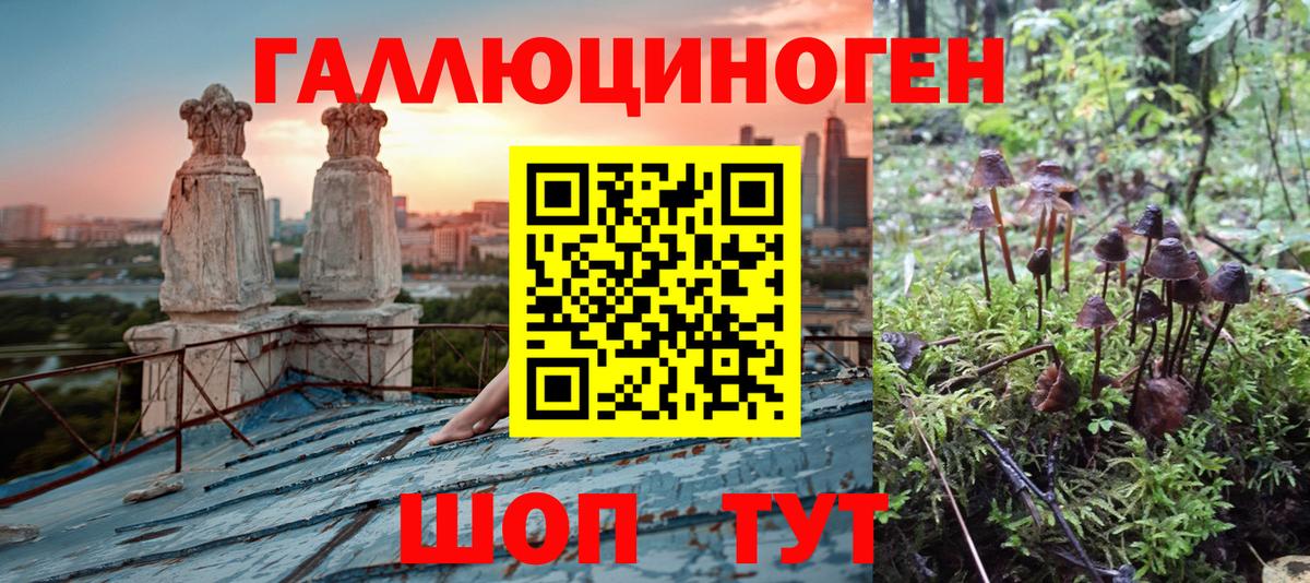 Псилоцибиновые грибы MAGIC MUSHROOMS  цены   Москва  Вход с VPN 