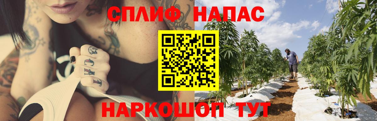 Каннабис ГИДРОПОН  Вход с VPN  Каннабис SATIVA & INDICA  Конопля ГИДРОПОН  Марихуана LSD WEED  Москва 